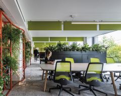 <a href="https://inmind.com.gr/product_category/ichoaporrofitika-panel-orofis/" rel="tag">Ηχοαπορροφητικά Πάνελ Οροφής</a>