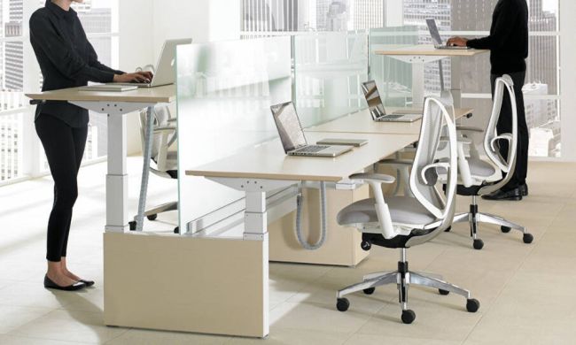 Height-Adjustable Bench