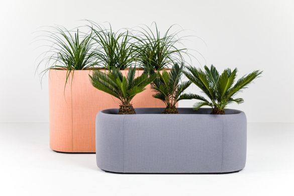 BuzziPlanter