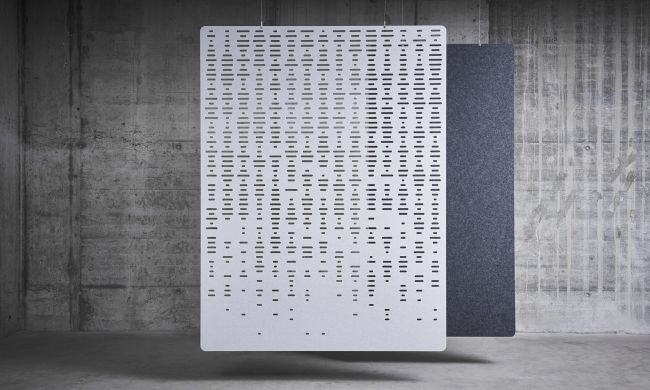 EchoCurtain