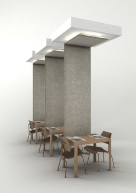 Buzzi Wings