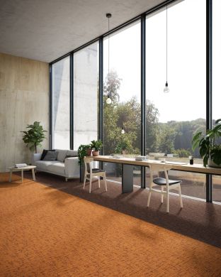 DSGN Collection