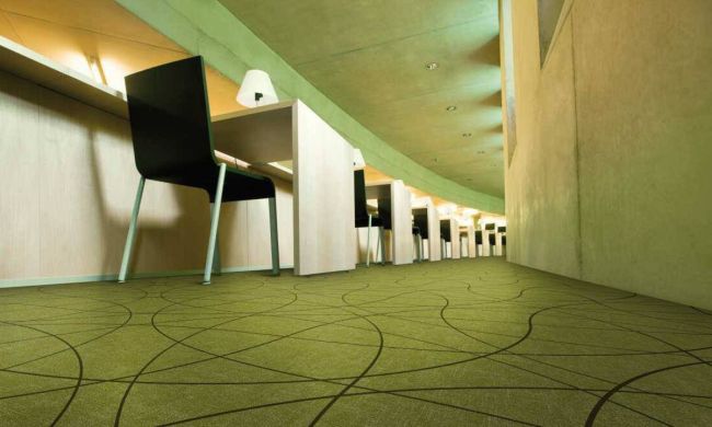 Flotex Vision