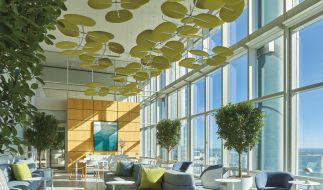 <a href="https://inmind.com.gr/product_category/ichoaporrofitika-panel-orofis/" rel="tag">Ηχοαπορροφητικά Πάνελ Οροφής</a>