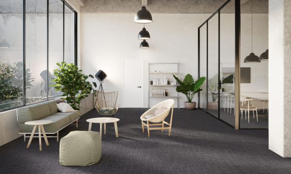 DSGN Collection