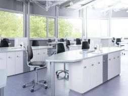 Labsit